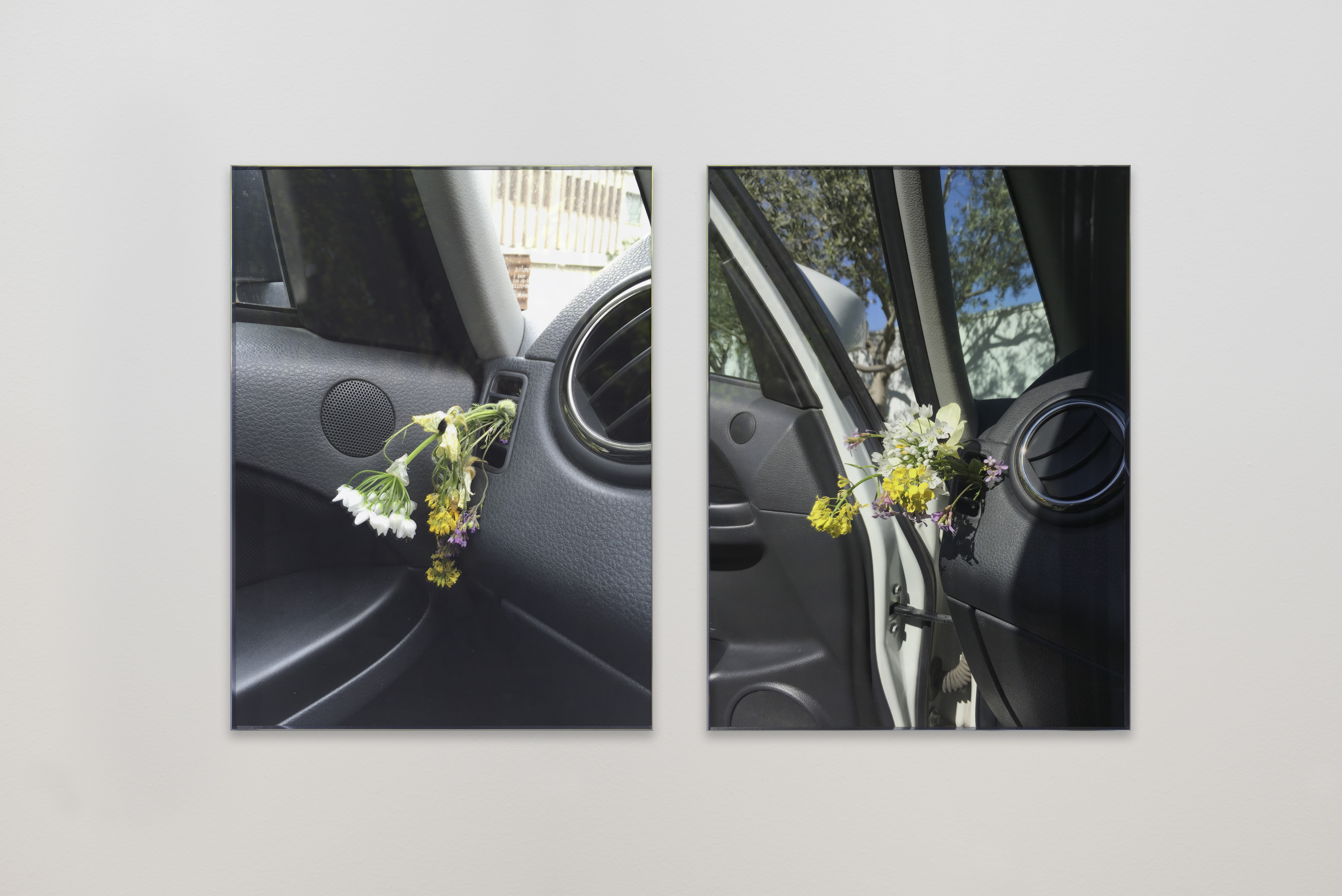 Flowers from Theseas